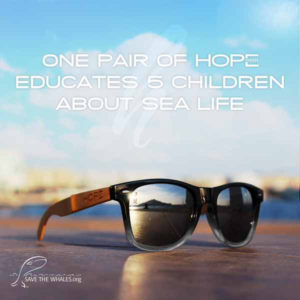 HOPE 4 WHALES (Pre-Order Only - Not Shipping Until March 2016)